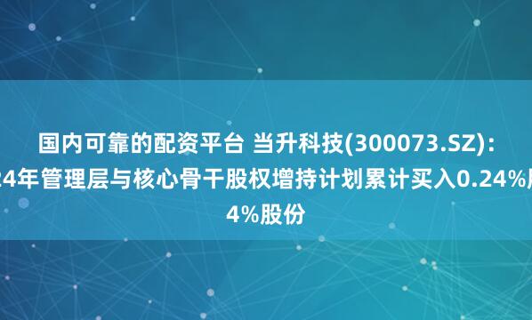国内可靠的配资平台 当升科技(300073.SZ)：2024年管理层与核心骨干股权增持计划累计买入0.24%股份