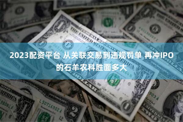2023配资平台 从关联交易到违规罚单 再冲IPO的石羊农科胜面多大