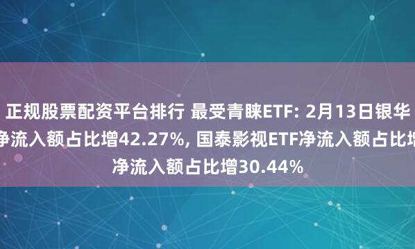 正规股票配资平台排行 最受青睐ETF: 2月13日银华影视ETF净流入额占比增42.27%, 国泰影视ETF净流入额占比增30.44%