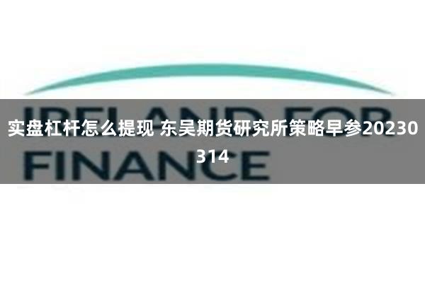 实盘杠杆怎么提现 东吴期货研究所策略早参20230314