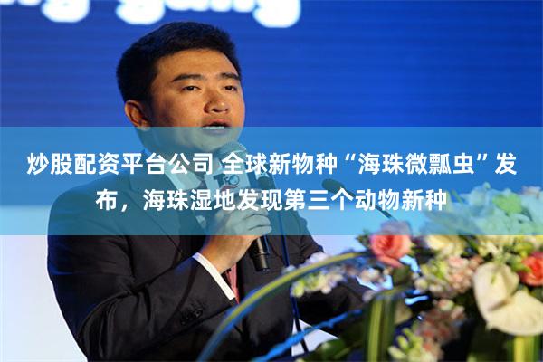 炒股配资平台公司 全球新物种“海珠微瓢虫”发布，海珠湿地发现第三个动物新种