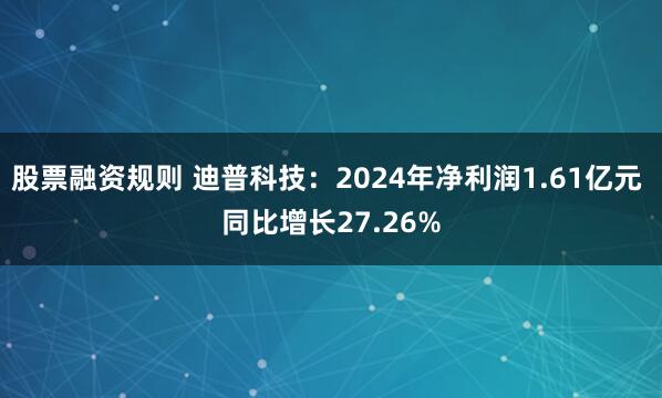 股票融资规则 迪普科技：2024年净利润1.61亿元 同比增长27.26%