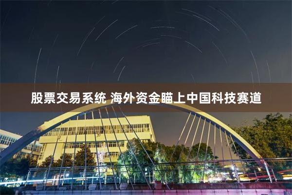 股票交易系统 海外资金瞄上中国科技赛道
