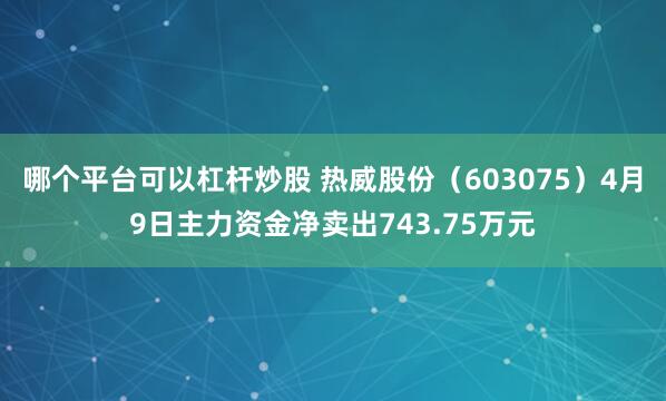 哪个平台可以杠杆炒股 热威股份（603075）4月9日主力资金净卖出743.75万元