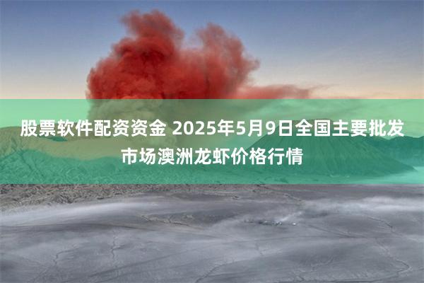 股票软件配资资金 2025年5月9日全国主要批发市场澳洲龙虾价格行情