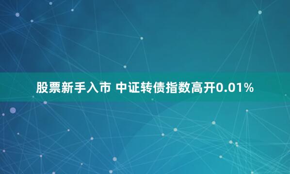 股票新手入市 中证转债指数高开0.01%