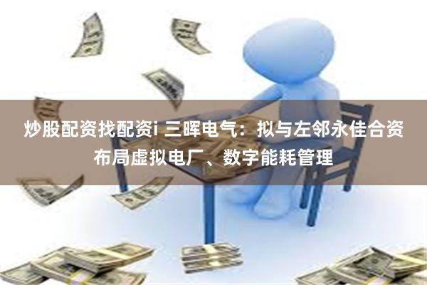 炒股配资找配资i 三晖电气：拟与左邻永佳合资布局虚拟电厂、数字能耗管理