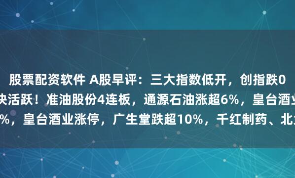 股票配资软件 A股早评：三大指数低开，创指跌0.16%，油气、白酒板块活跃！准油股份4连板，通源石油涨超6%，皇台酒业涨停，广生堂跌超10%，千红制药、北大医药跌超5%。