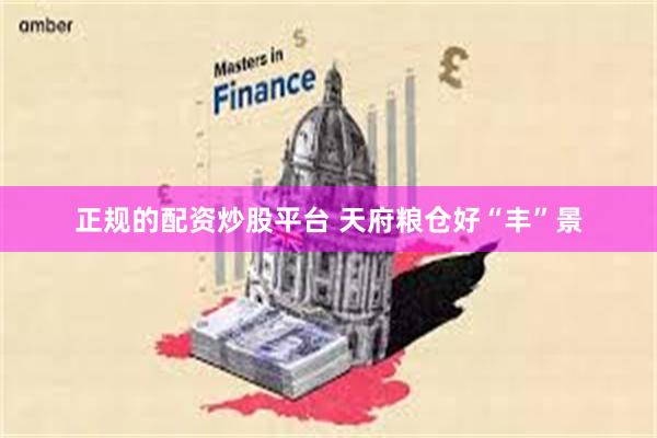 正规的配资炒股平台 天府粮仓好“丰”景