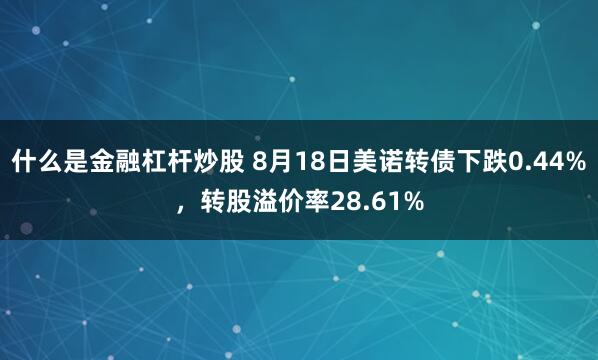 什么是金融杠杆炒股 8月18日美诺转债下跌0.44%，转股溢价率28.61%