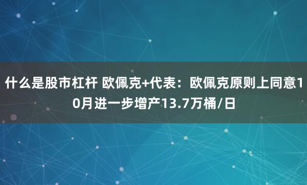 什么是股市杠杆 欧佩克+代表：欧佩克原则上同意10月进一步增产13.7万桶/日