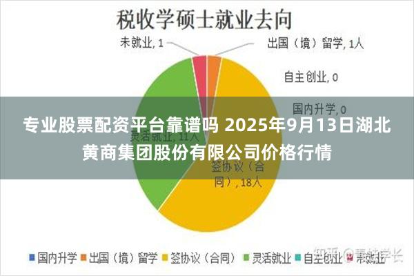 专业股票配资平台靠谱吗 2025年9月13日湖北黄商集团股份有限公司价格行情