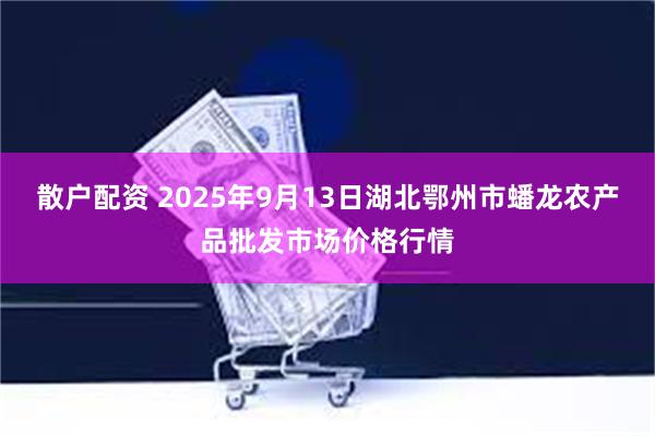 散户配资 2025年9月13日湖北鄂州市蟠龙农产品批发市场价格行情